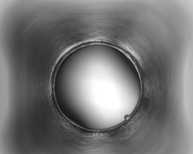 X0000096431316200801311424