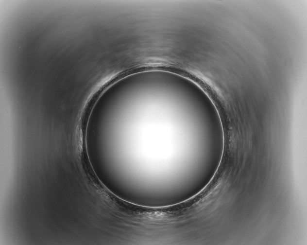 X0000096431317200801311424