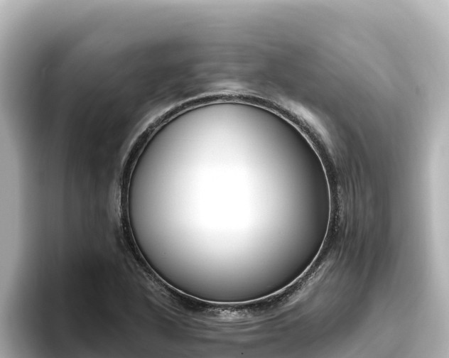 X0000096431318200801311424