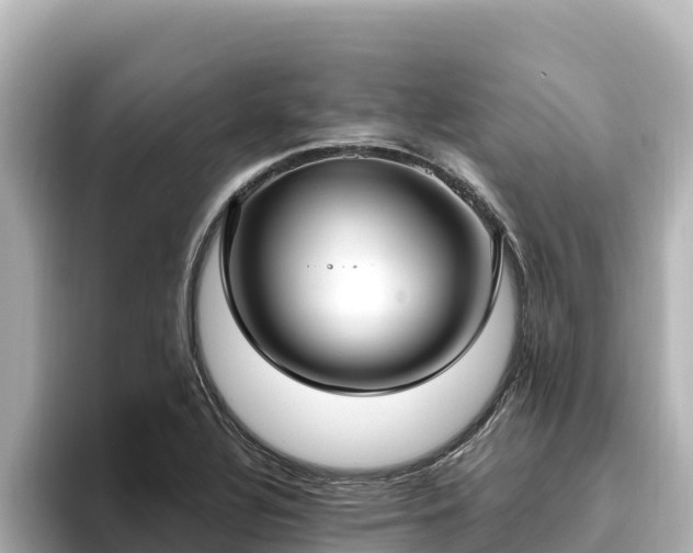 X0000096431320200801311424