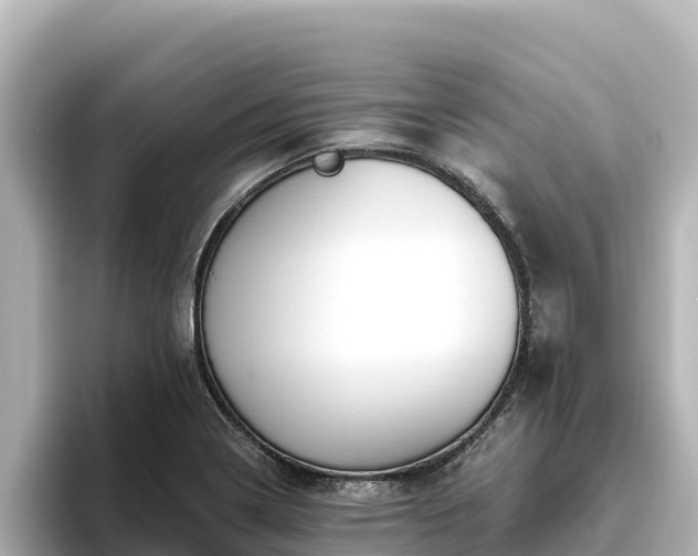 X0000096431322200801311424