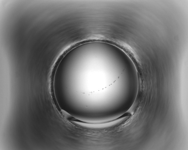 X0000096431326200801311424
