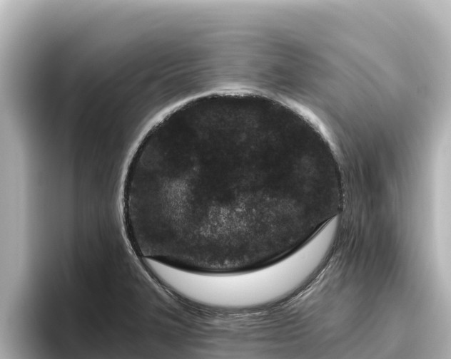 X0000096431327200801311424
