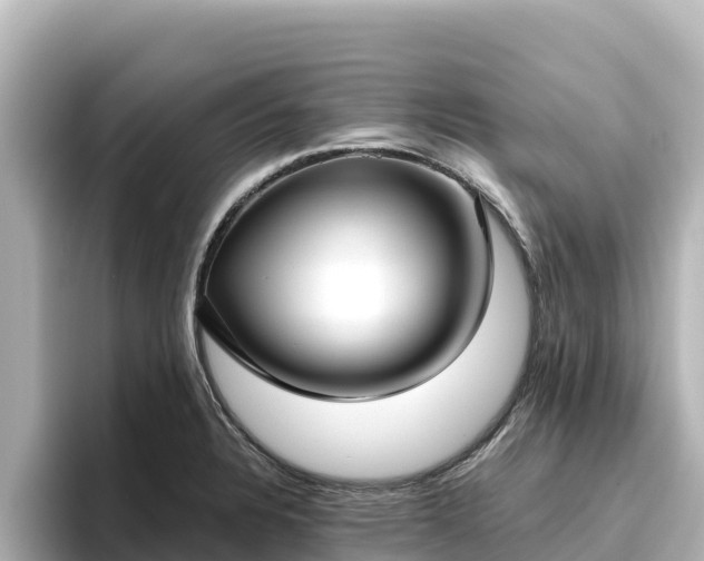 X0000096431328200801311424