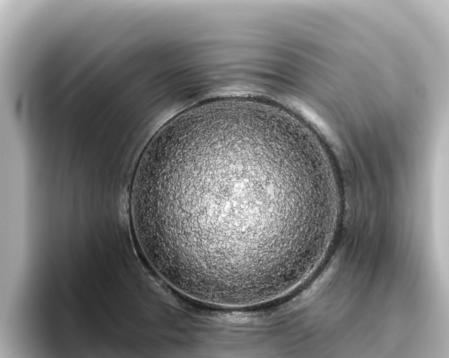 X0000096431329200801311424