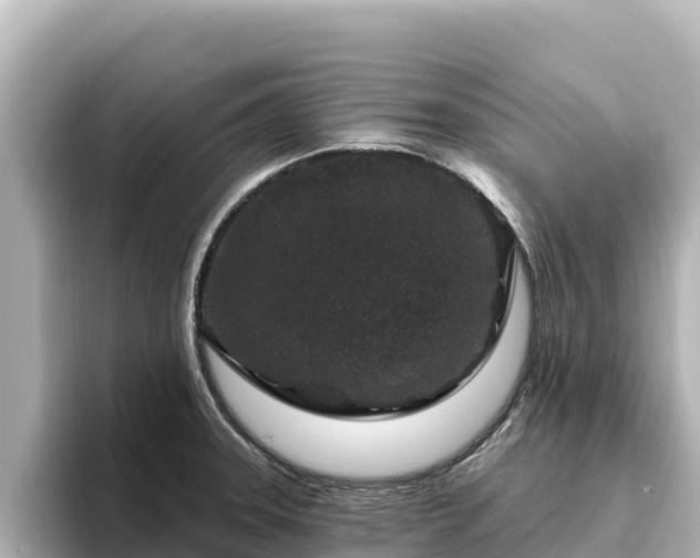 X0000096431331200801311425