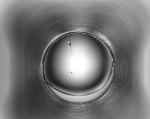 X0000096431332200801311425