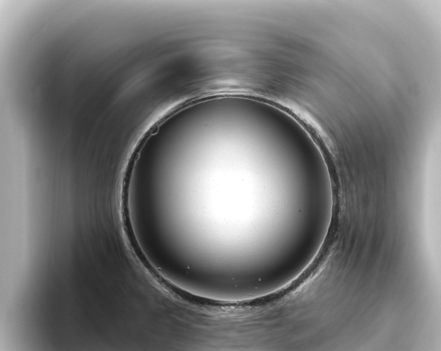 X0000096431333200801311425
