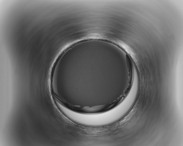 X0000096431334200801311425