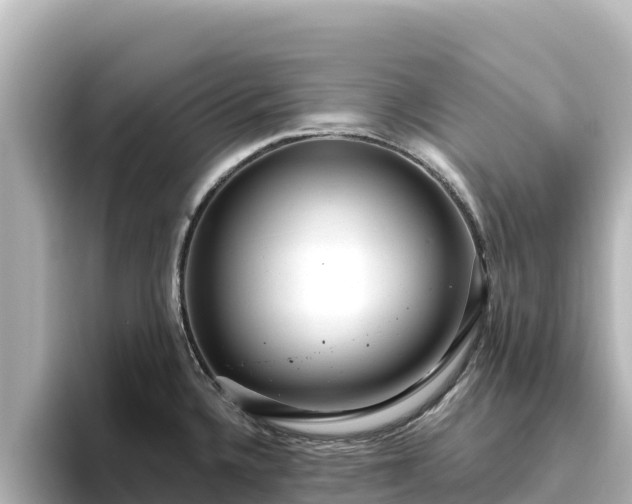 X0000096431336200801311425