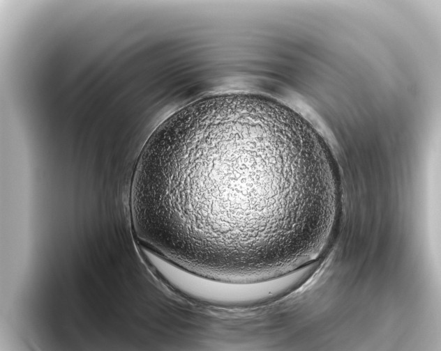 X0000096431337200801311425