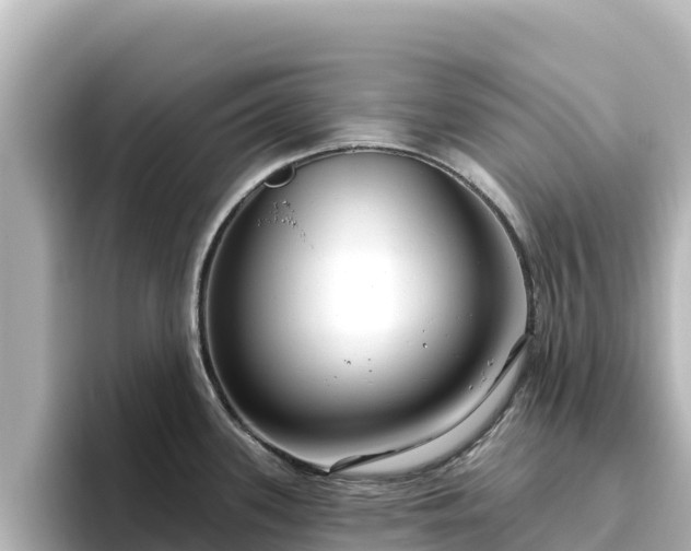 X0000096431339200801311425