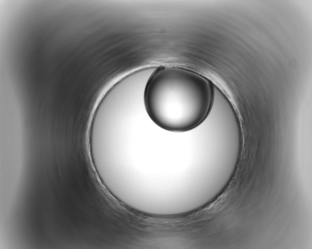 X0000096431344200801311425