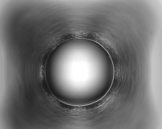 X0000096431346200801311424