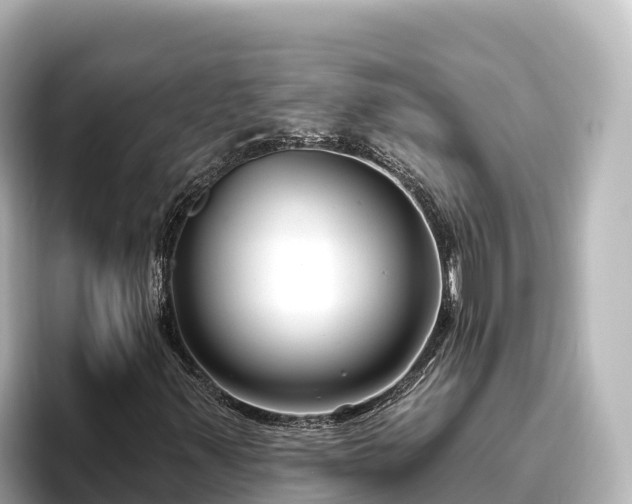 X0000096431347200801311424
