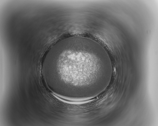 X0000096431348200801311424