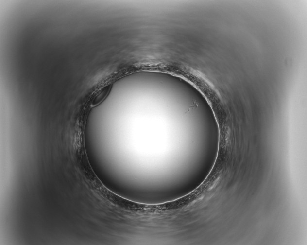X0000096431350200801311424