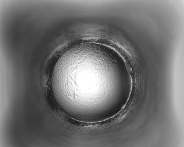 X0000096431351200801311424