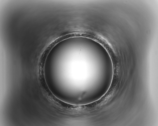 X0000096431352200801311424