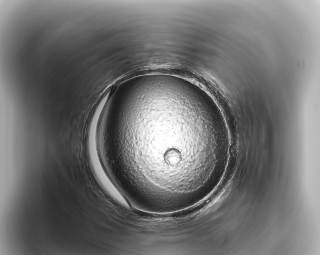 X0000096431353200801311424