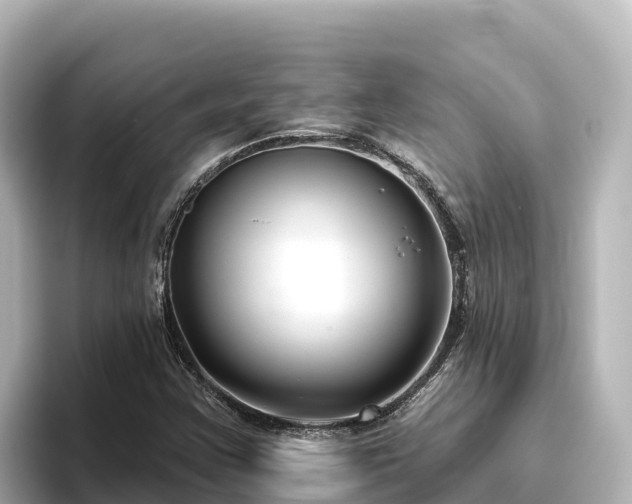 X0000096431355200801311424