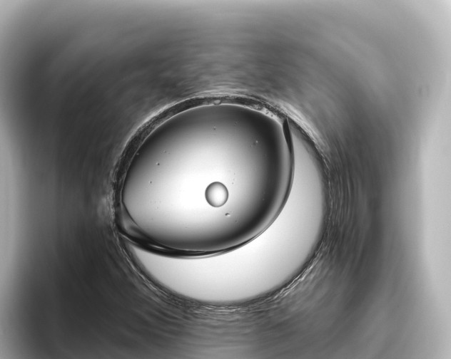 X0000096431356200801311424