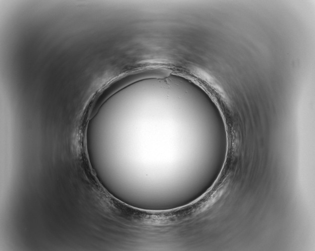 X0000096431357200801311424