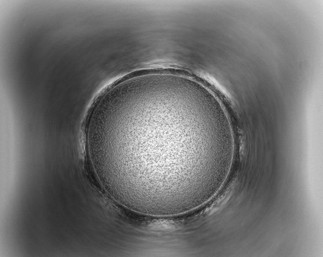 X0000096431358200801311424