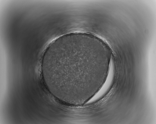 X0000096431359200801311424