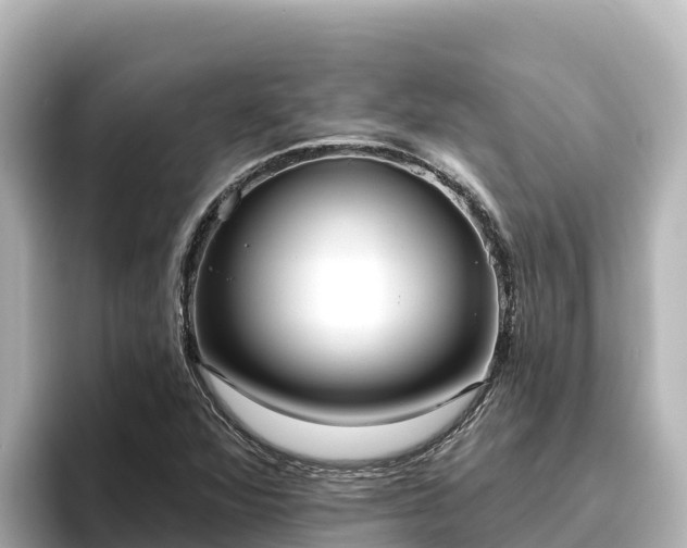 X0000096431360200801311424