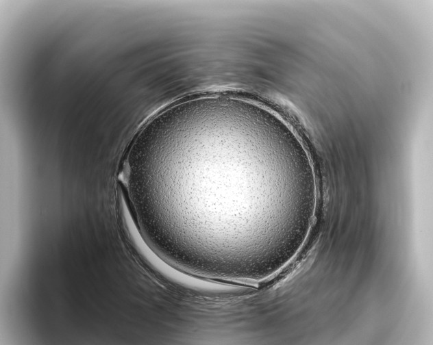 X0000096431361200801311424
