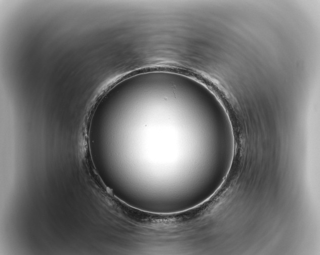 X0000096431363200801311424
