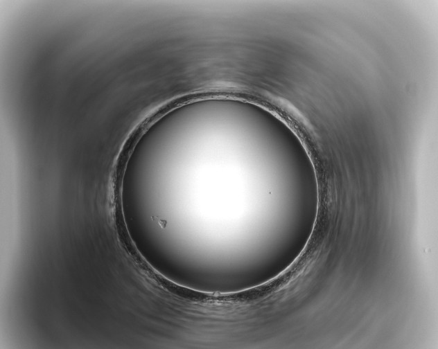 X0000096431364200801311424
