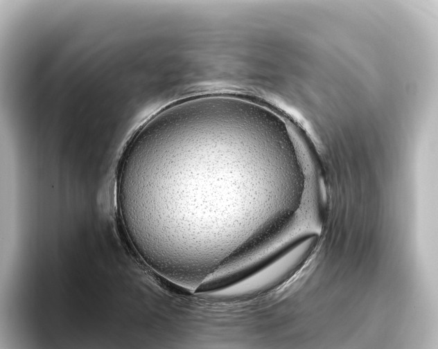 X0000096431365200801311424