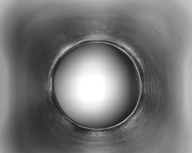 X0000096431366200801311424