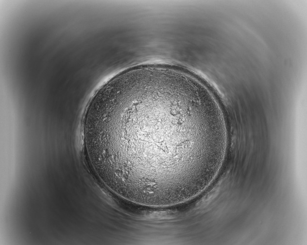 X0000096431367200801311424