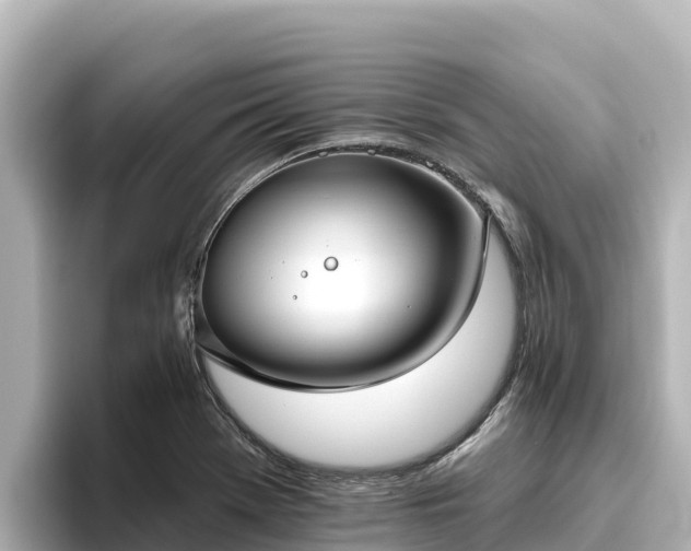 X0000096431369200801311424