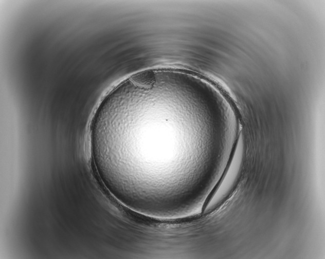 X0000096431371200801311424