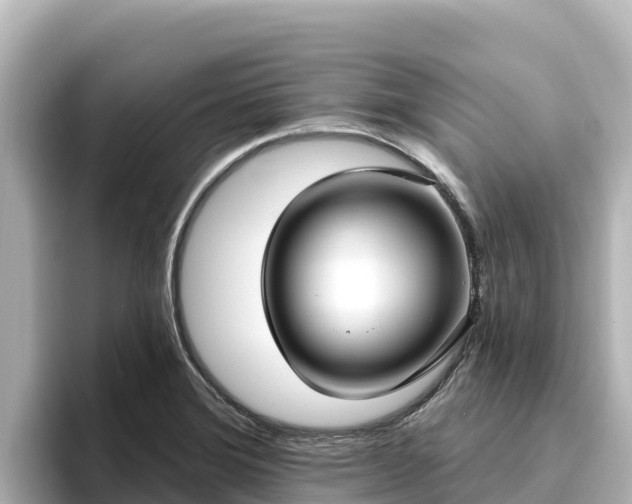 X0000096431372200801311424