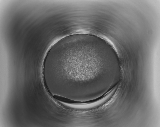 X0000096431373200801311424