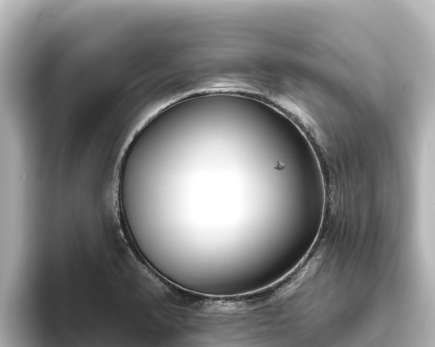 X0000096431374200801311424