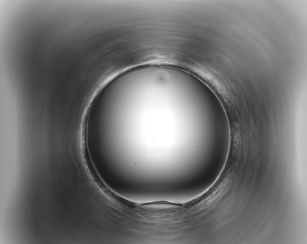 X0000096431375200801311424