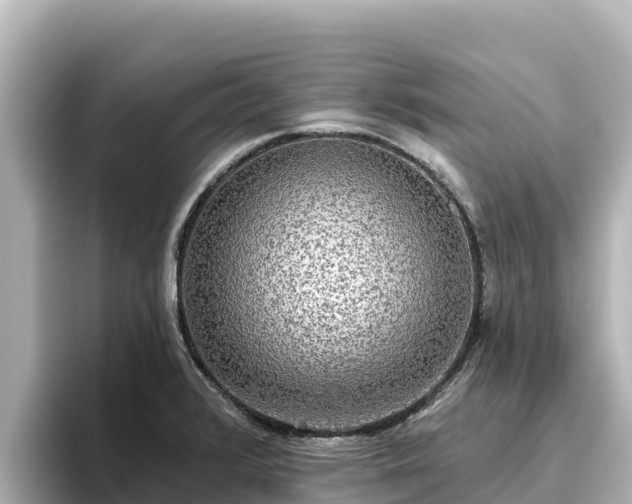 X0000096431376200801311424