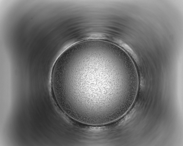 X0000096431378200801311424