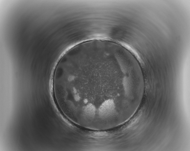 X0000096431383200801311424