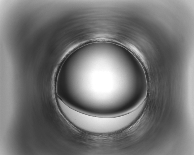 X0000096431384200801311424