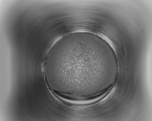 X0000096431385200801311424