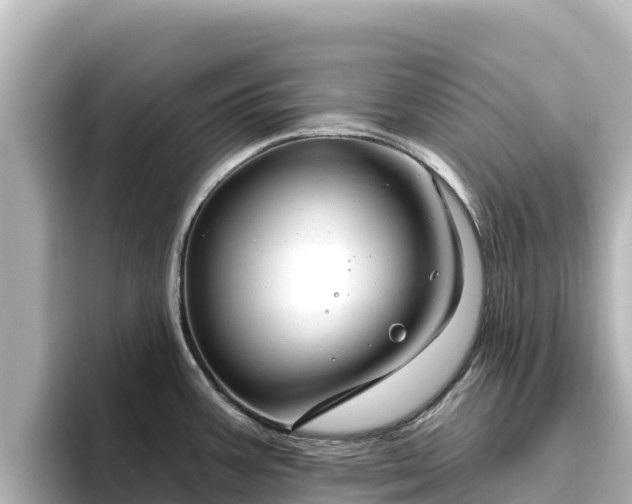X0000096431387200801311424