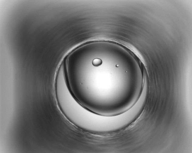 X0000096431388200801311423