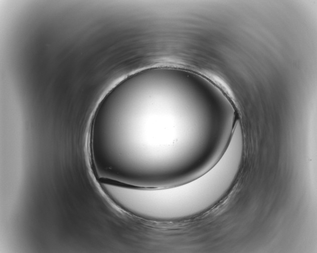 X0000096431391200801311423